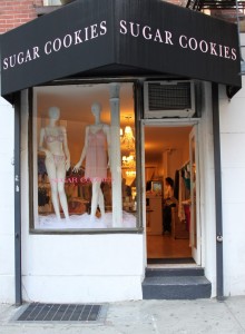 BRIEF ALERT! Sugar Cookies - Lingerie Briefs ~ by Ellen Lewis