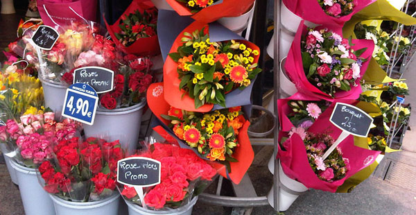 vibrant flowers in Paris - January 20th