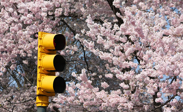 New-York-spring on Lingerie Briefs