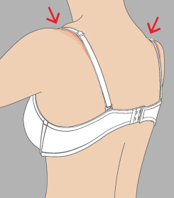 Correct bra fitting straps on Lingerie Briefs