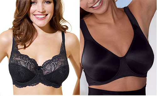 Average Size Figure Types in 36E Bra Size D Cup Sizes by Anita