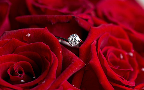 diamond-ring-red-roses