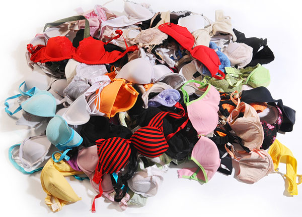 Go Green on Earth Day and Every Day with B.R.A. Recycling - Lingerie Briefs  ~ by Ellen Lewis