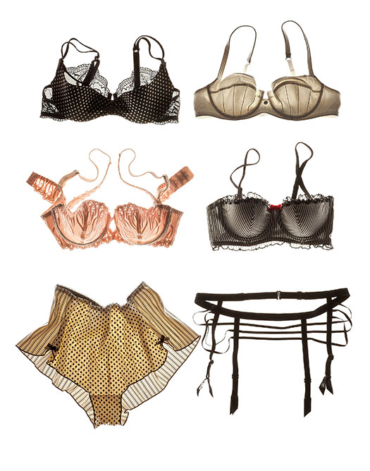Gille Berquet photography of French Lingerie for Lingerie Francais and Art Basel on Lingerie Briefs