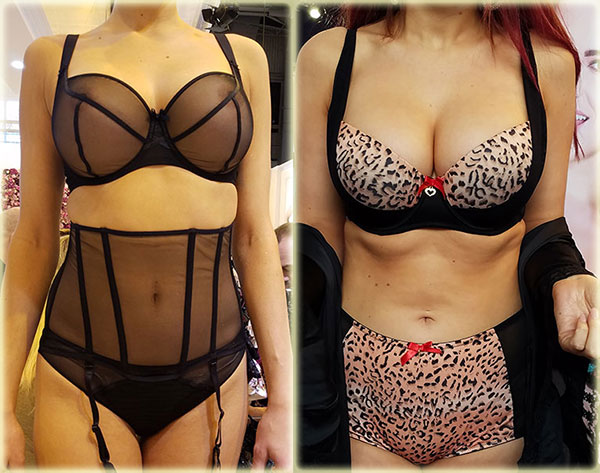 Aubade and Rougette by Tutti Rouge on Lingerie Briefs