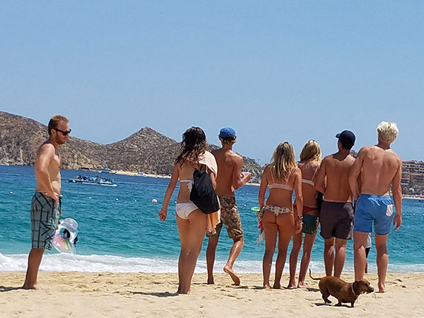 Beach Life in Cabo on Lingerie Briefs