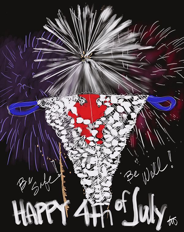 Celebration by Tina Wilson on Lingerie Briefs