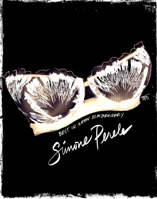 Simone Perele illustrated by Tina Wilson on Lingerie Briefs from Curvexpo