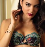 A French Masterpiece Fleurs Etoiles By Lise Charmel Lingerie Briefs