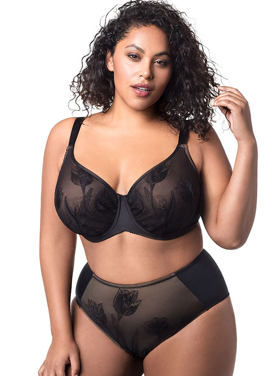 Serious Curves Elila Lingerie Lingerie Briefs