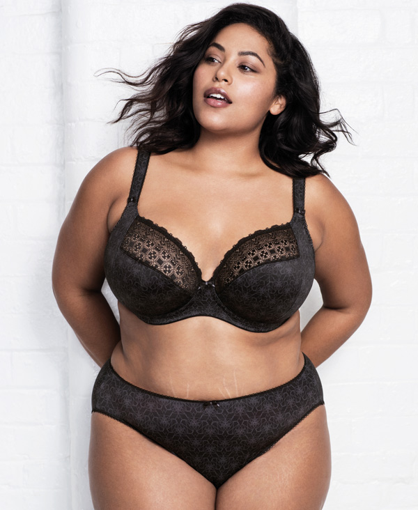 Kim Plunge Bra by Elomi  Diane's Lingerie Plus Size Bras