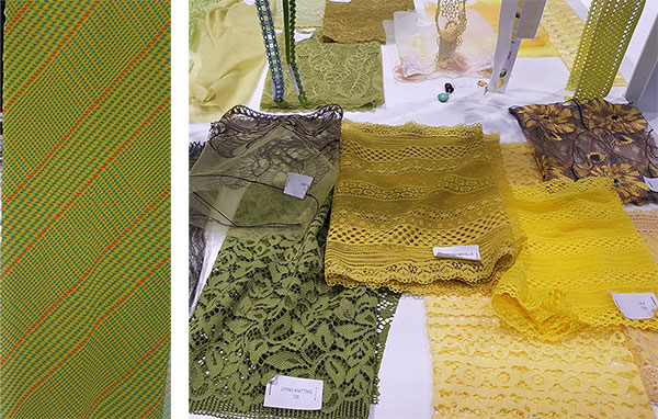 Paris Interfiliere Show 2019 highlights on Lingerie Briefs