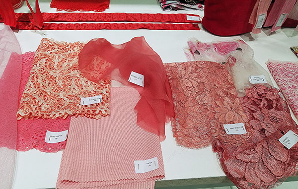 Paris Interfiliere Show 2019 highlights on Lingerie Briefs