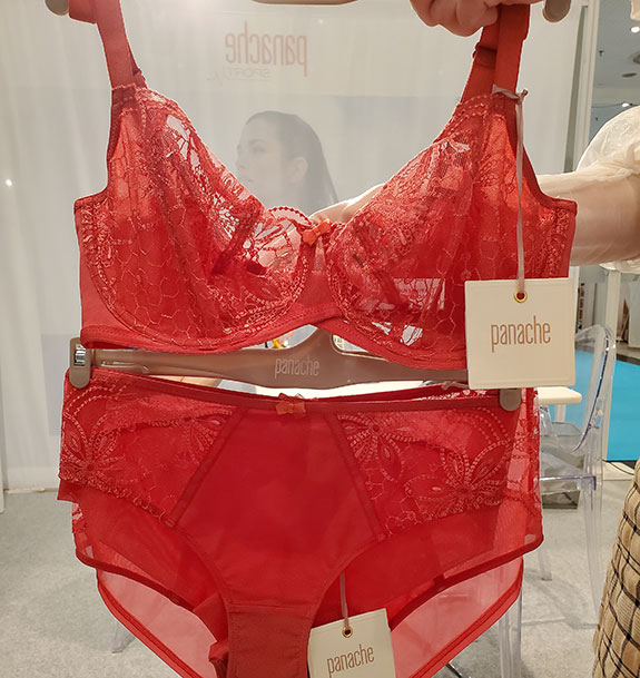 Curve New York 2020 ~ My Impressions - Lingerie Briefs ~ by Ellen Lewis