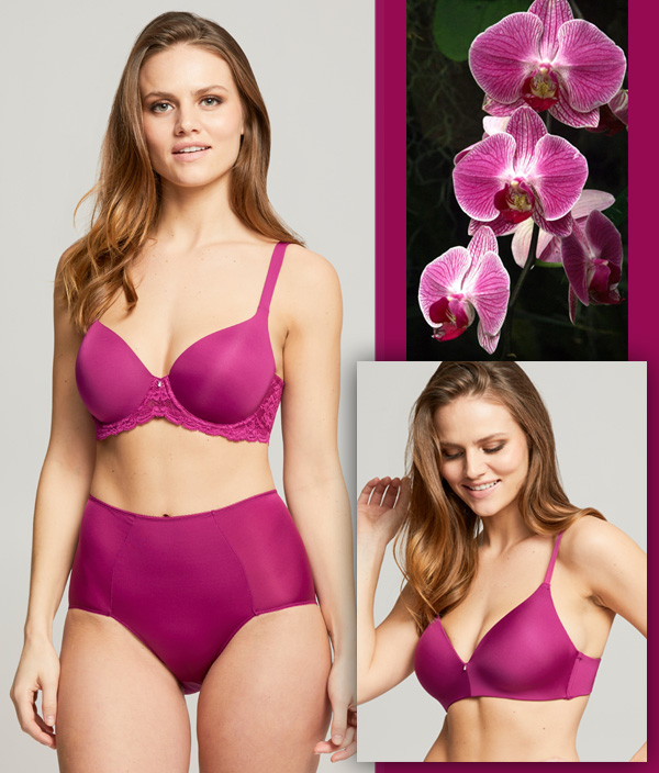 Montelle Intimates Pure Plus Full Coverage Bra and Wire Free T-Shirt Bra in wild orchid featured on Lingerie Briefs