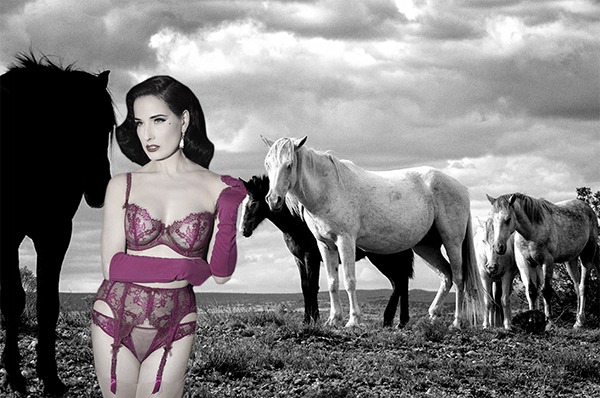 Equine Images by Karen O'Shaughessy & Lingerie by Dita Von Teese as featured on Lingerie Briefs