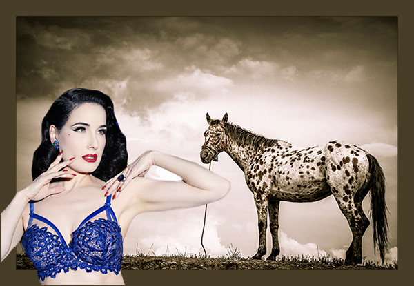 Equine Images by Karen O'Shaughessy & Lingerie by Dita Von Teese as featured on Lingerie Briefs