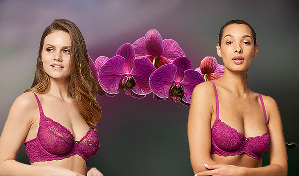 Montelle Divine full coverage underwire bra and Flirt Demi Lace Bra in wild orchid featured on Lingerie Briefs