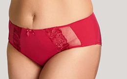 Logan Briefs by Scupltress by Panache - featured on Lingerie Briefs