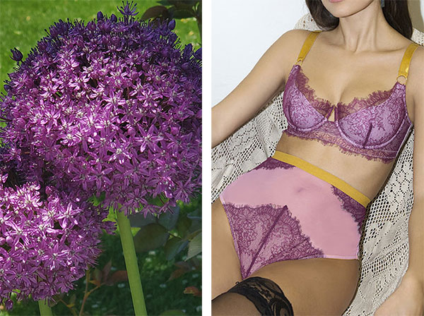 Lipsy lonnie lace bra in purple