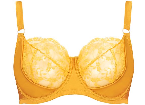 Katherine Hamilton Sophia bra now in ginger - featured on Lingerie Briefs