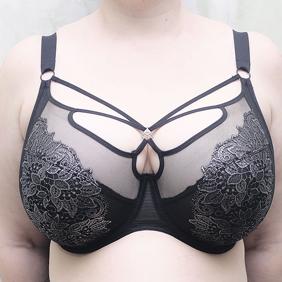 Break The Mold ~ Elila Soft Cup Bras - Lingerie Briefs ~ by Ellen Lewis