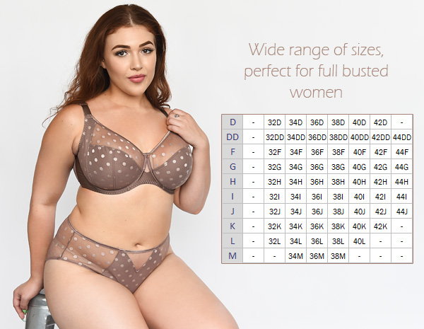 Fit Fully Yours CARMEN Collection for full busted women featured on Lingerie Briefs