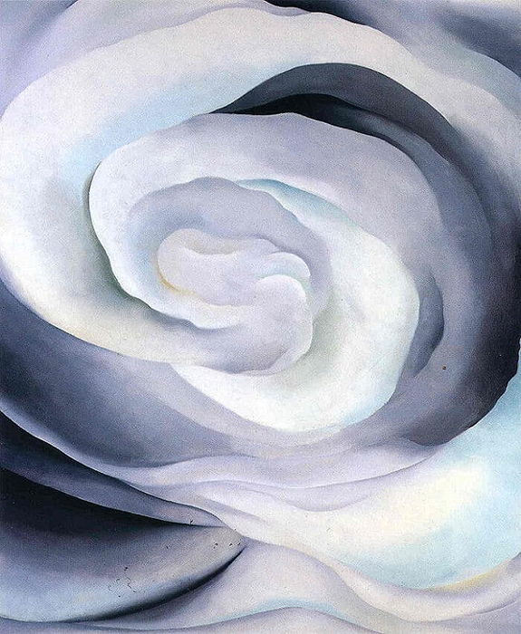 Georgia O'Keefe White Rose Abstraction 1927 as seen on Lingerie Briefs