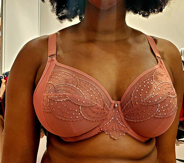 Elomi bras as featured on Lingerie Briefs