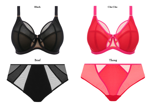 Elomi Kintai Collection AW22 featured on Lingerie Briefs