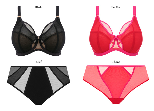 Elomi Introduces the Exciting Kintai Collection for AW22 - Lingerie Briefs  ~ by Ellen Lewis