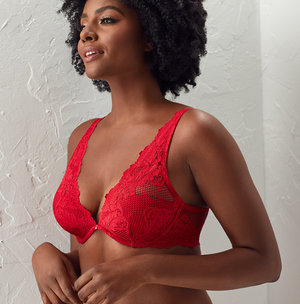 Le Mystere Lace Allure Demi Bra in Ruby featured on Lingerie Briefs
