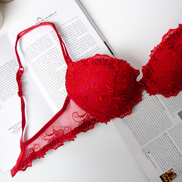 Lise Charmel red lingerie as featured in Dressing Floral Collection on Lingerie Briefs