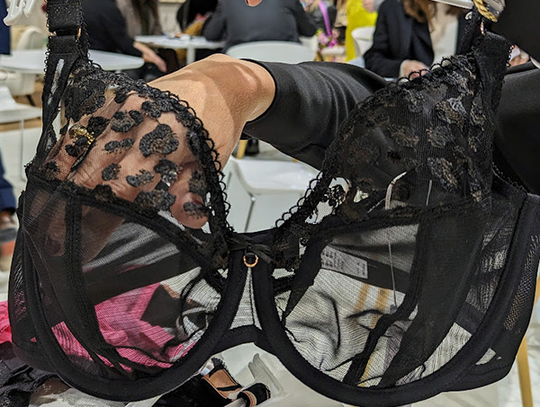 Paris 2023 Salon International de la Lingerie: My Take - Lingerie Briefs ~  by Ellen Lewis