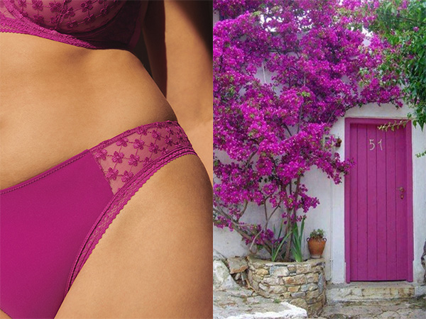 Bougainvillea Blooms at Simone Pérèle - Lingerie Briefs ~ by Ellen Lewis