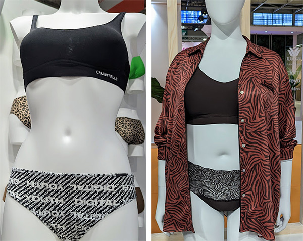 Swimwear 2020 Season Takes Off - Lingerie Briefs ~ by Ellen Lewis