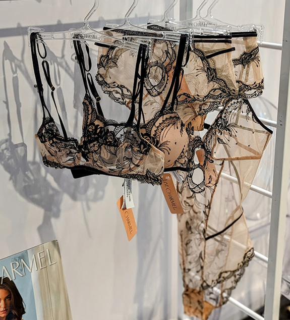 Curve NY: 100+ Images Tell the Story - Lingerie Briefs ~ by Ellen Lewis