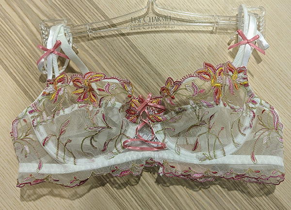 Tried, True & New ~ Dressing Floral by Lise Charmel - Lingerie Briefs ~ by  Ellen Lewis