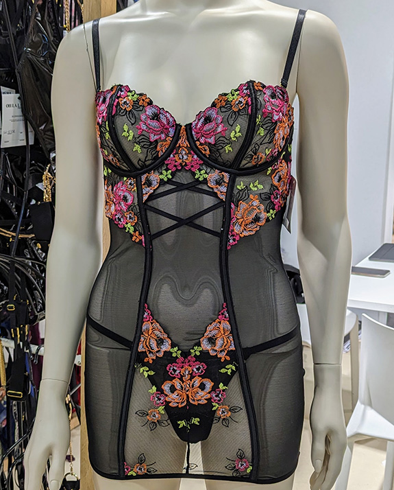 Elomi Elevates the Namrah UW Plunge Bra to Core Status - Lingerie Briefs ~  by Ellen Lewis