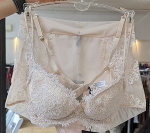 Market Highlights~NY Evolution Concepts Show A/W 2023 - Lingerie Briefs ...