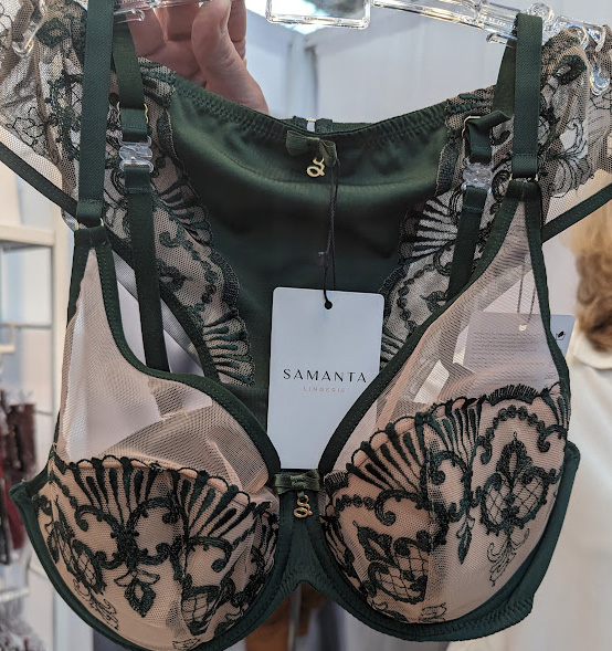 BraXière ~ Creator Of The Two-Part Hybrid Bra - Lingerie Briefs ~ by Ellen  Lewis