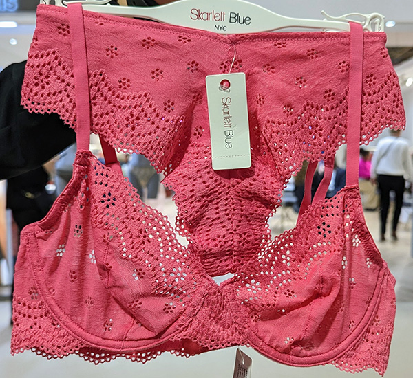 Her Pony ~ Festival Fashion for Lingerie Lovers - Lingerie Briefs ~ by  Ellen Lewis