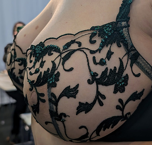 Gemsli Intimates - Debuts Graceful Lace and Modern Comfort Bra Collections  at Curve NY - Lingerie Briefs ~ by Ellen Lewis