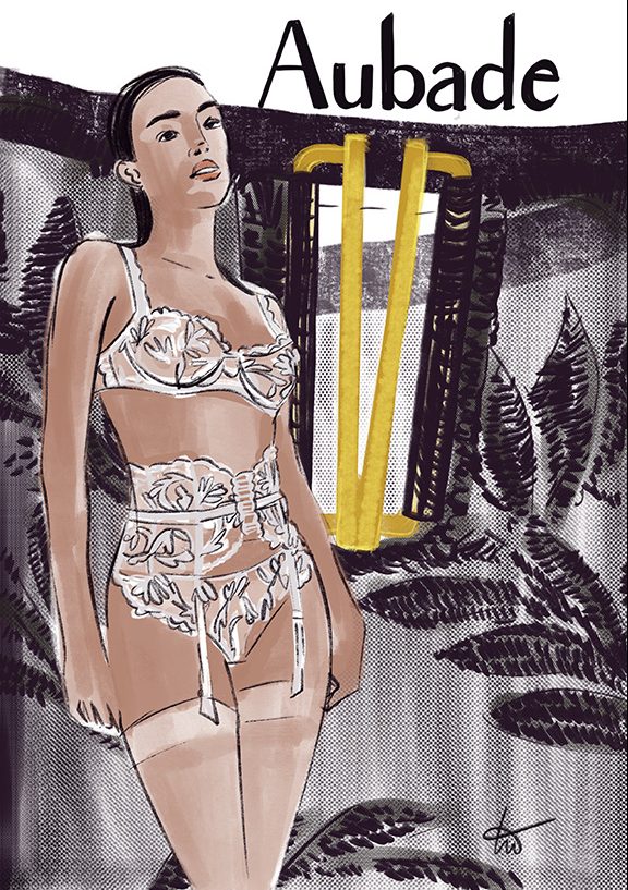 Aubade as illustrated by Tina Wilson for Lingerie Briefs