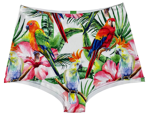 Happy Undies: 3-in-1 Lingerie to Wear from Bedroom to Beach - Lingerie  Briefs ~ by Ellen Lewis