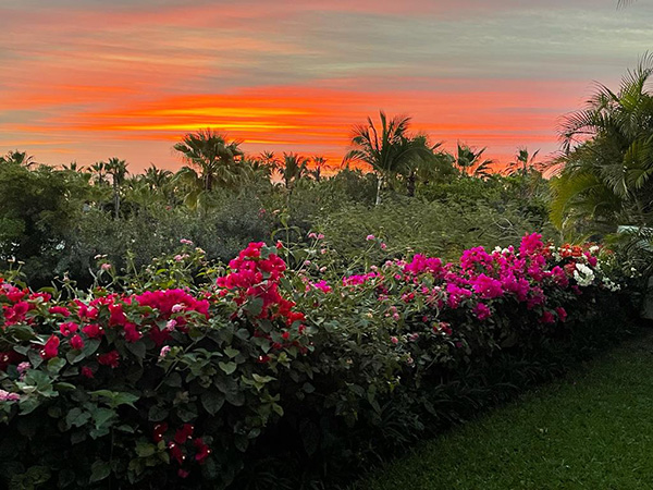 Cabo San Lucas Sunset