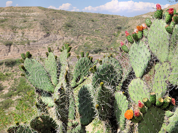 A Long the Way to La Paz