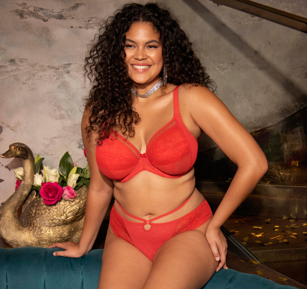 Elomi Kendra in cherry for AW23 featured on Lingerie Briefs