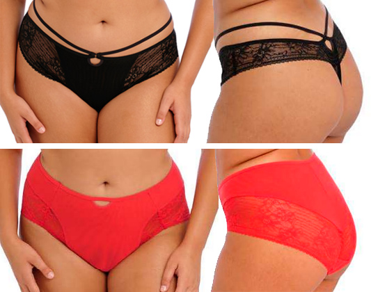 Elomi Kendra thong and full brief AW23 featured on Lingerie Briefs