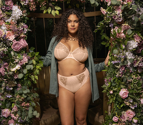 Elomi Welcomes KENDRA ~ Sexy New Lace Range for AW23 - Lingerie Briefs ~ by  Ellen Lewis